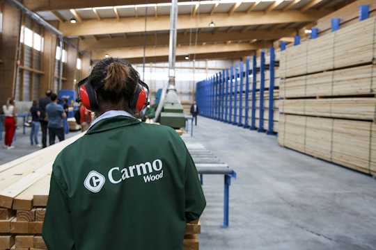 Carmo Wood lança iniciativa no setor da construção em madeira