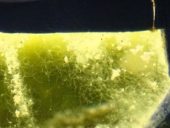 Reino Unido cria blocos de alvenaria vivos capazes de produzir energia e purificar água