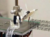 Construção de Estruturas em Fibra de Carbono com Micro-Robots Demonstrada por Investigadores de Stan...