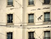 Diagnóstico de manifestações patológicas em edifícios em destaque no Técnico