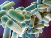 Legionella em sistemas de água de edifícios