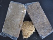 Estudantes de Engenharia Civil Criam Placas para Construção à Base de Cascas de Arroz
