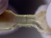 Investigadores da Universidade de Illinois Criam Polímeros Autorregeneráveis